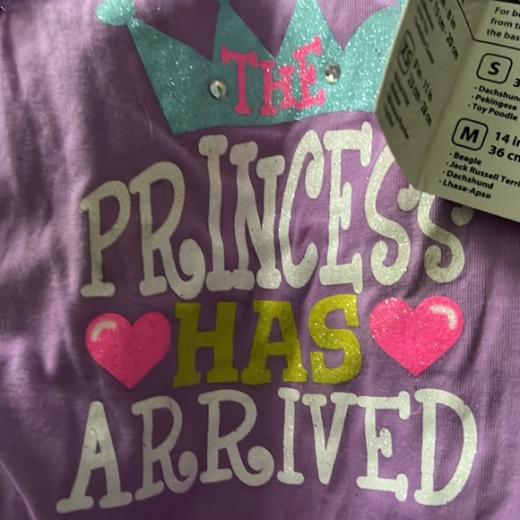 🐶 Lulu Pink “Princess Has Arrived” Tee (Girl) XS - Picture 4 of 4